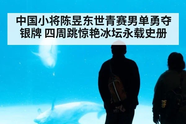 中国小将陈昱东世青赛男单勇夺银牌 四周跳惊艳冰坛永载史册